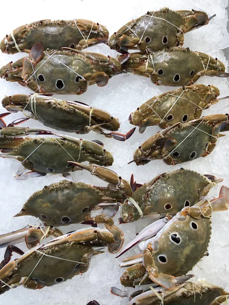 Frysta simkrabbor. Portunus sanguinolentus — Stockfoto