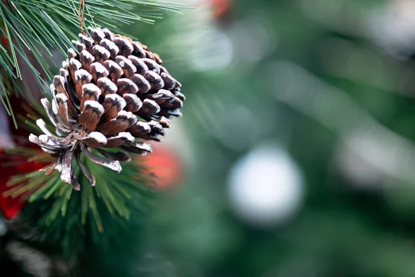 Dennenappel of naaldboom kegels opknoping op kerstboom — Stockfoto