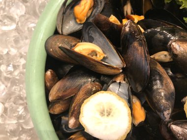 Frozen mussel in the shell