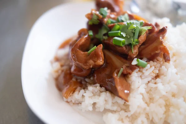 Stewed pork on rice — Stok fotoğraf