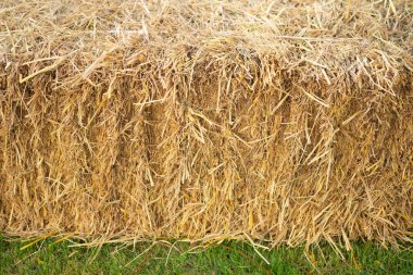 Kırsal tarlada hasat sonrası saman ya da saman.
