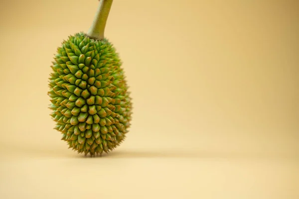 Trochę świeżego młodego duriana na żółtym tle — Zdjęcie stockowe