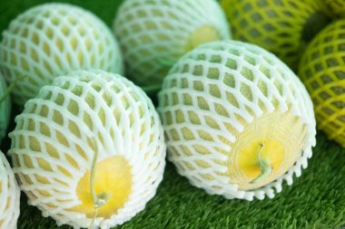 Taze karpuz koruyucuyu köpük ağıyla kapat. Tarım konsepti. Sağlıklı meyve