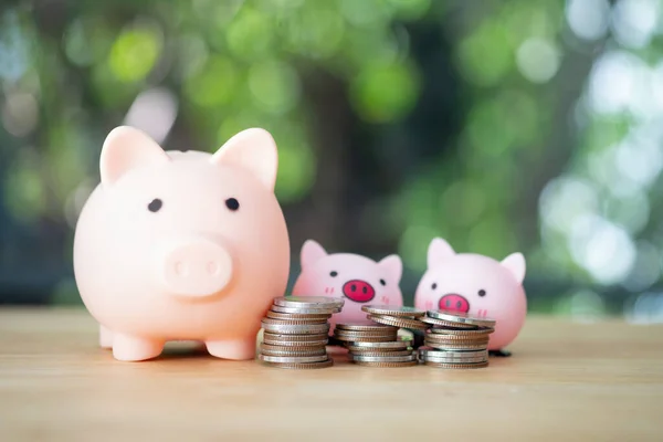 Piggy bank with baby pig and stacked coins on wooden table. Concept of kid with money saving for the future.