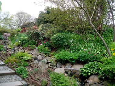 Kopenhag 'ın güzel şehir bahçesinde sabah yürüyüşü