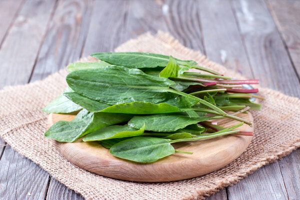 fresh organic sorrel leaves on a wooden background