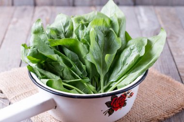 Metal bir kevgir içinde taze kuzukulağı