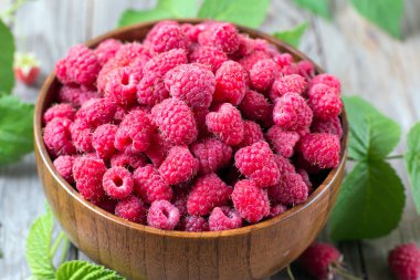 Taze Ahududu yaprakları bir ahşap kase ile