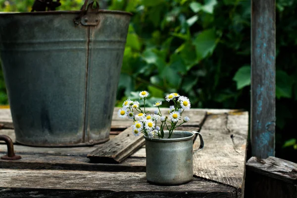 Flores de campo en una vieja taza vintage — Foto de Stock