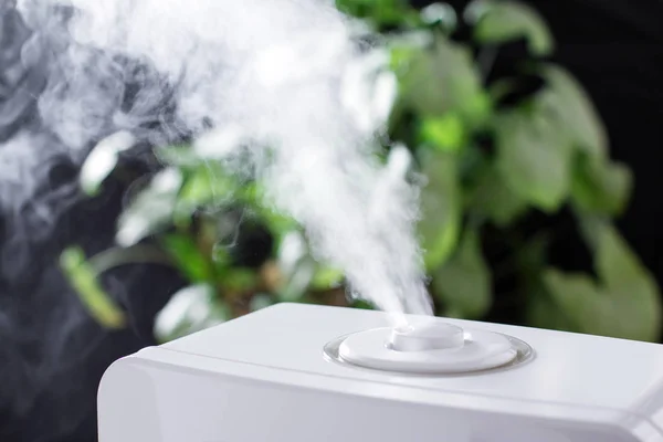 Vapor del humidificador en la casa —  Fotos de Stock