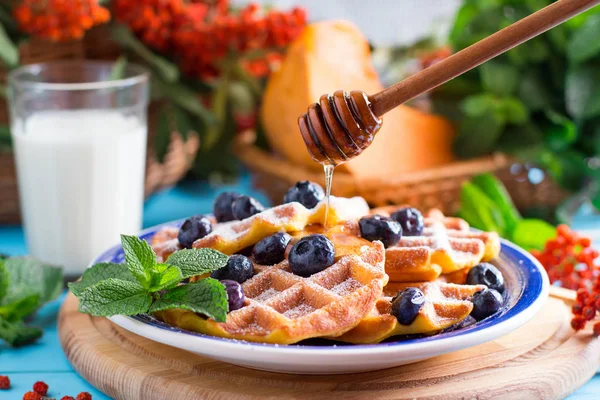 Obleas de calabaza con miel. Desayuno saludable y nutritivo — Foto de Stock