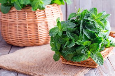 Ahşap masa fotokopi alanında taze nane. Seçici odak
