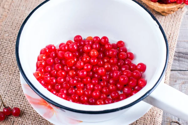 Bayas viburnum rojas maduras en un colador en la mesa — Foto de Stock