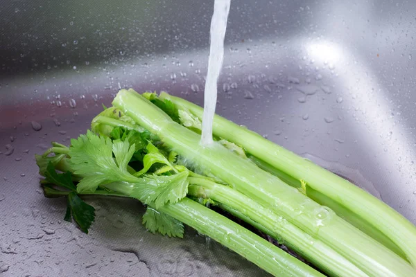 Washing Celery in the Kitchen Sink with water — Stock Photo, Image