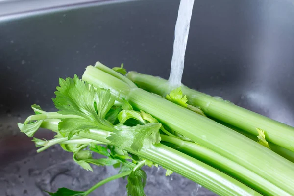 Lavaggio del sedano sotto l'acqua corrente nel lavandino della cucina — Foto Stock