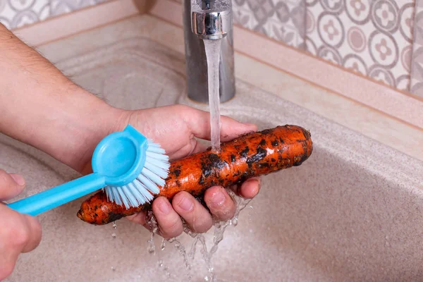 Руки Моют Свежую Морковь Проточной Водой Раковине — стоковое фото