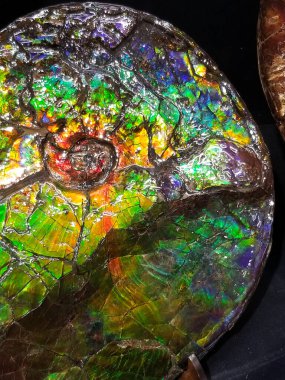 Glowing rainbow seen in fossilized ammonite nacre clipart