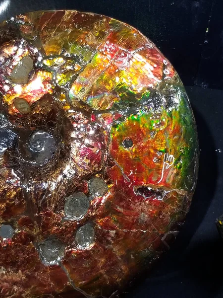 Arcobaleno incandescente visto in nacre di ammonite fossilizzata — Foto Stock