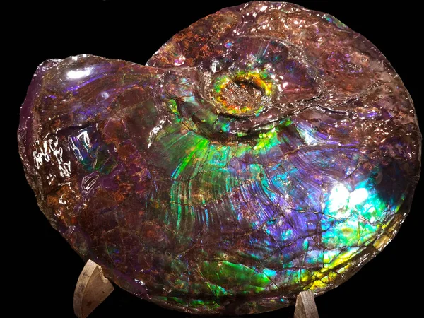 Glowing rainbow seen in fossilized ammonite nacre — Stock Photo, Image