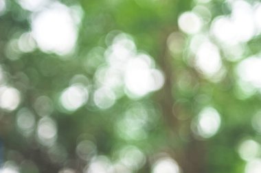 Arka planda bokeh ışığı