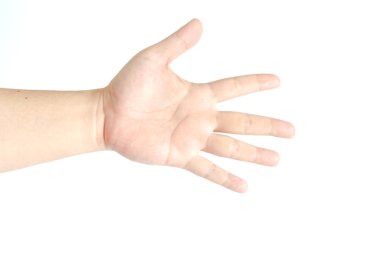 Beyaz arkaplanda İzole Edilmiş Bir El