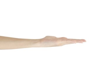 Beyaz arkaplanda İzole Edilmiş Bir El