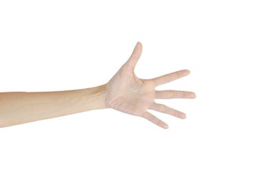 Beyaz arkaplanda İzole Edilmiş Bir El