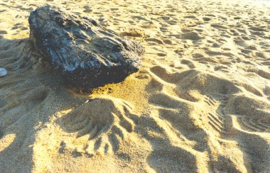 Kumun üzerindeki kütük