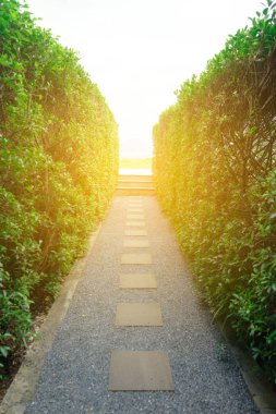 Mermer yürüyüş yolu Ağacın iki tarafı