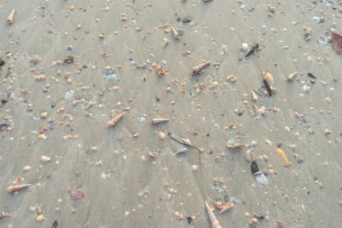 kum ve kabuk arkaplanı