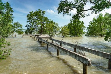 Beton köprü denize inşa edilmez.