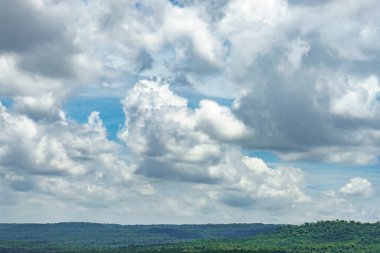 Mavi gökyüzü arka planında ağaç ormanı manzarası