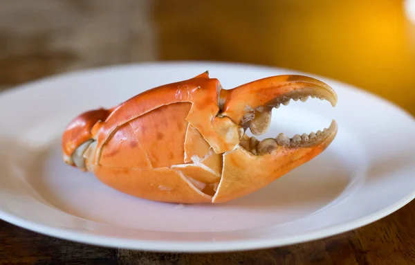 Stor krabba på vit skål — Stockfoto