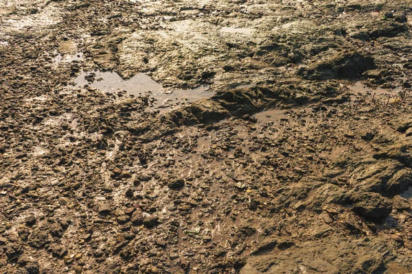Piaskowiec na tle — Zdjęcie stockowe
