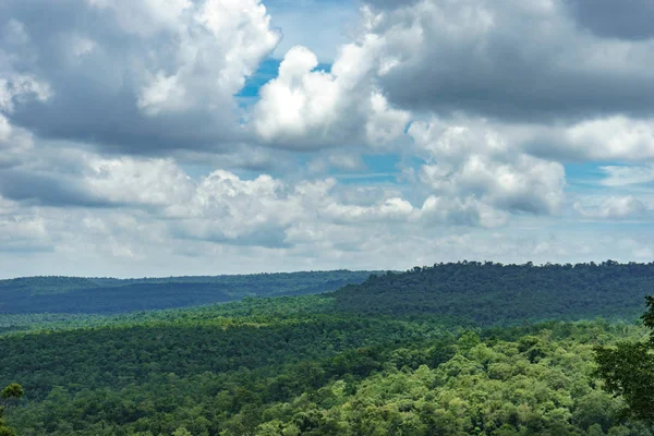 Tree forest Landscape on blue sky background — Stock Photo, Image