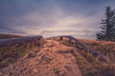 Dağ görünümünde bir büyük arber, Bavyera