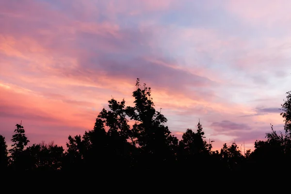 Piękny zachód słońca z czarna sylwetka — Zdjęcie stockowe