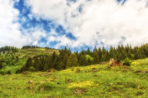 En grön äng på ett berg med blå himmel och moln — Stockfoto