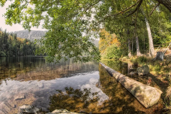 Landschap scène bij de meer grote arber, Bavaria — Stockfoto