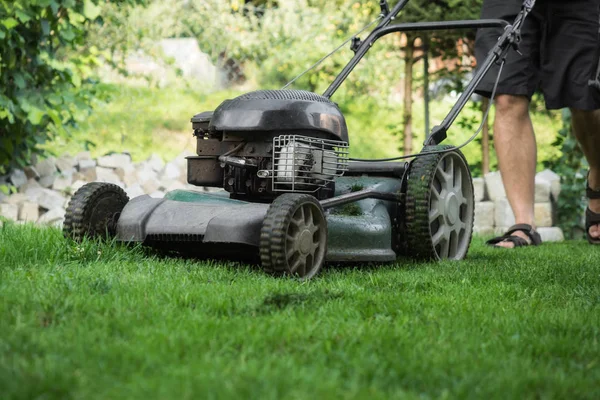 Çim çim biçme makinesi ile biçilmiş