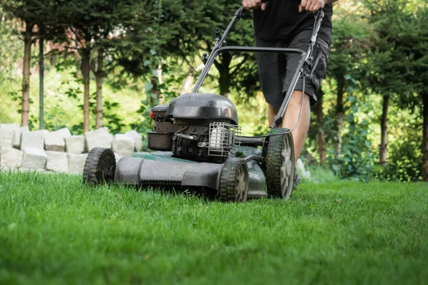 The lawn is mown with the lawn mower — Stock Photo, Image