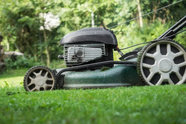 Gräsmattan är nyklippt med gräsklippare — Stockfoto
