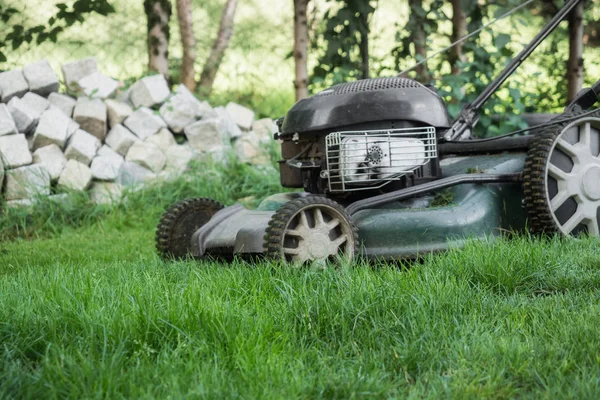 Gräsmattan är nyklippt med gräsklippare — Stockfoto