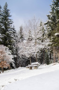 Bavyera kış manzarası