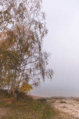 Sabahın erken saatlerinde Murner Gölü