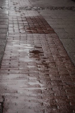 Küçük su su birikintileri ile ıslak yol