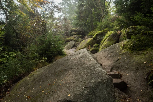 D'énormes rochers dans la forêt — Photo