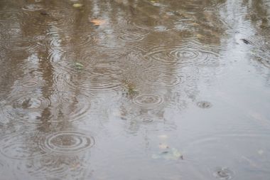 bir su birikintisine yağmur damlaları