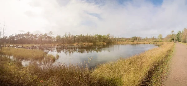 Panorama van een mooie moor-landschap in de lueneburger heide — Stockfoto