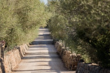 Boş eski ülkede yol İspanya